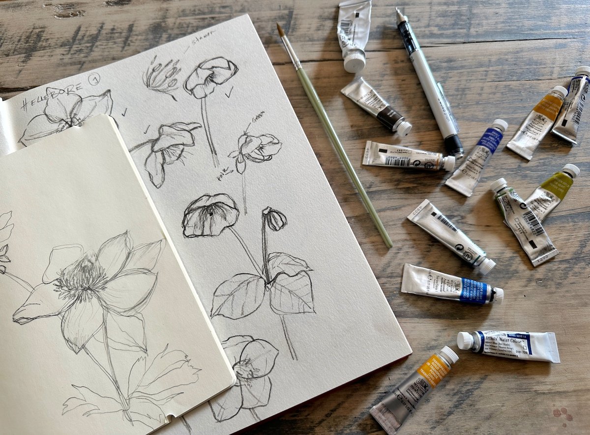 Sketch & Paint Flowers Made Simple - Learn to sketch 10 different flowers  with examples of how to paint them too. — Nicki Traikos, life i design